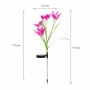 Lampă solară model floare - LED RGB - 75 cm - 2 buc. /pachet