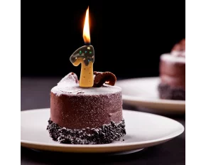 Lumanare pentru tort - cifra 1