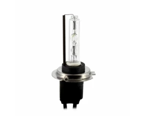 Bec Auto Xenon CARGUARD H7 4300K