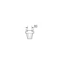 Bec 12V - 1,2W Bord soclu plastic negru B8,5d 1buc Narva