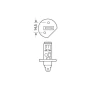 24V - H1 - 70W - P14,5s 1pcs Narva