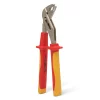 Cleste papagal, 250 mm
