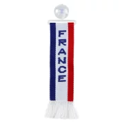 Fanion mic cu ventuza - Franta