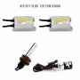 H11 SLIM  12V 35W 4300K