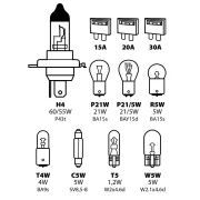 Kit becuri si sigurante 11buc, 12V - halogen H4 P43