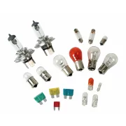 Kit becuri si sigurante 19buc, 12V - halogen 2xH4 P43