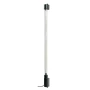 Neon color Plasma Neon-Light PNL-58 12V - 58cm - Albastru