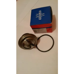 Termostat Wahler - Mercedes T